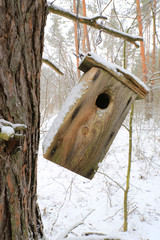 handmade starling-house in forest