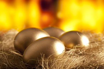 Fototapeta na wymiar Golden eggs in the nest