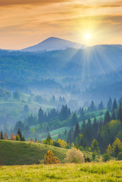 Carpathian orange morning