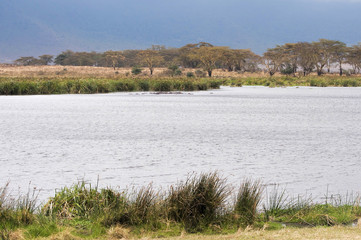 Landscape  Ngorongoro Conservation Area, Tanzania