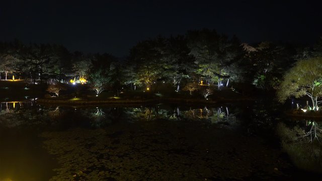Wolji (Anapji) Pond  in Gyeongju National Park at night