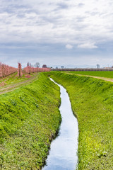 Fototapeta na wymiar irrigation channel that passes through the cultivated fields