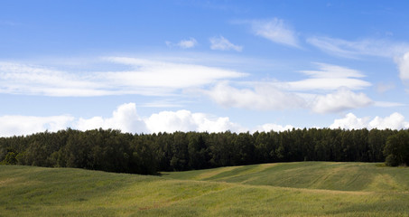 agriculture field , Away trees