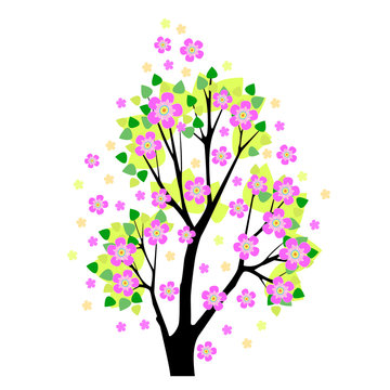 flowering tree sakura vector illustration