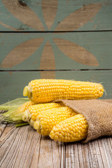 Fresh corn copy space