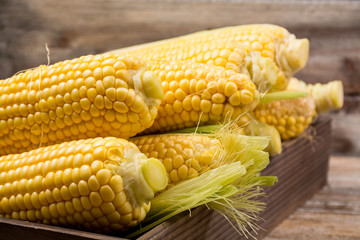 Fresh corn