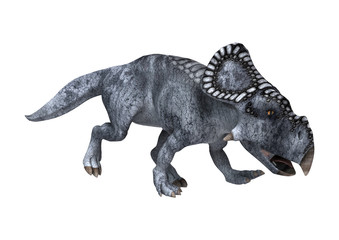 Dinosaur Protoceratops on White