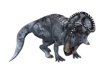 Obraz na płótnie Canvas Dinosaur Protoceratops on White