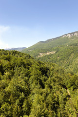 Fototapeta na wymiar mountain district , Montenegro