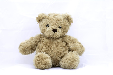 Teddy bear on a white background .
