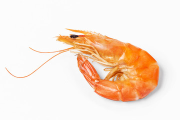 White background of the shrimp