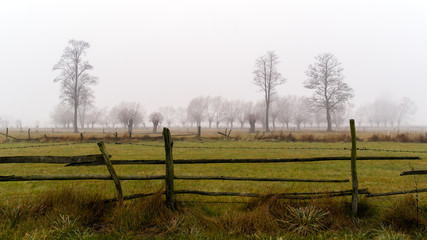 Podlaskie klimaty
