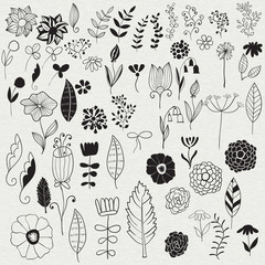Vector Spring Floral Design Elements