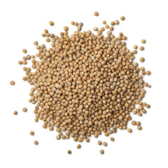 Heap of dried mustard seeds