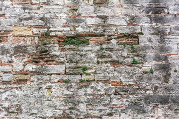 texture of old stone wall with grass 