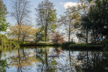 Fototapeta na wymiar Laghetto con riflessi alberi dai colori autunnali. Parco della Burcina Felice Piacenza - Pollone, Biella Italia