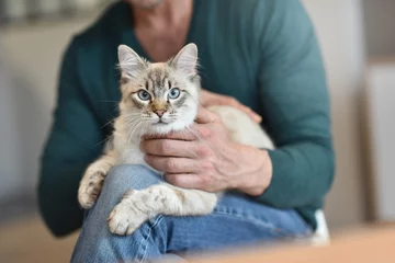 Foto op Aluminium Man at home cuddling beautiful cat © goodluz