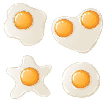 Vector fried eggs