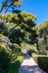 Beautiful mediterranean garden