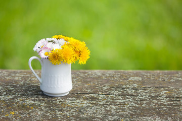 Dandelion and daisy flowers in the porcelain pot in the garden