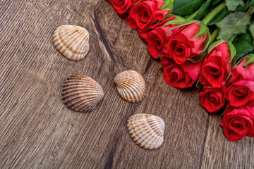 Obraz na płótnie Canvas Brown shells and roses on wooden background
