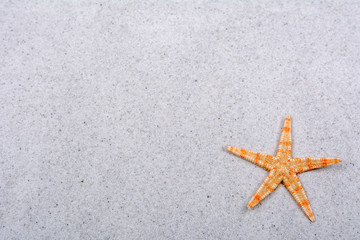 Fototapeta na wymiar Orange starfish on a sand background