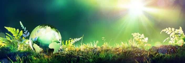 Fotobehang Green Globe On Moss - Environmental Concept   © Romolo Tavani