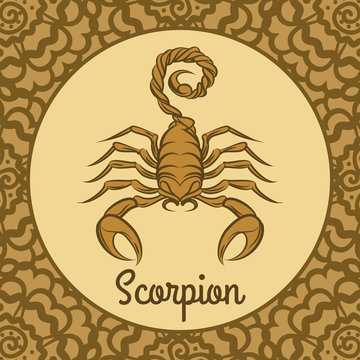 Scorpion logo icon