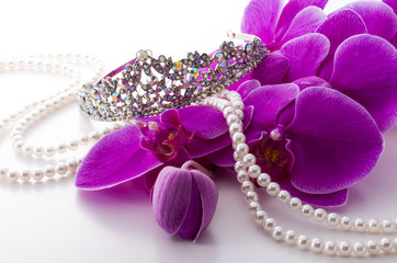 ピンクの胡蝶蘭