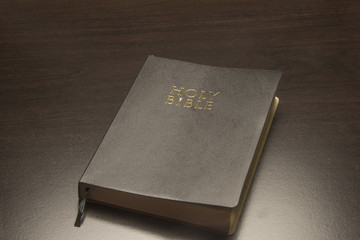 Holy Bible