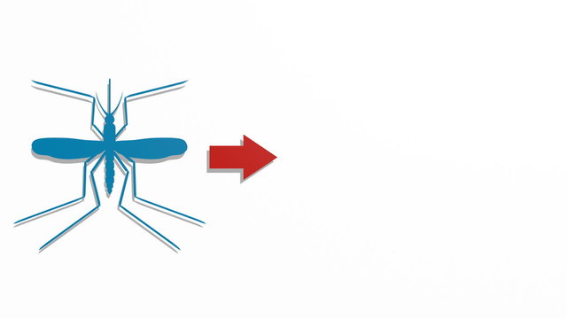 Infographic about zika virus (ZIKV). Illness symptoms, information, graphics, facts. Animated info graphic