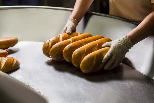 Manufacture of bakery products.