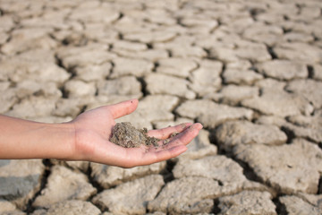 Parched land with hand scattering dry dirt