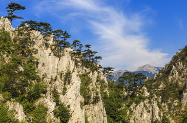Limestone gorge protected area in Romania