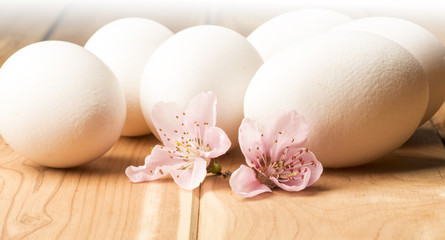 eggs with flower of peach on the wooden table