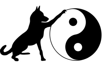Hund mit Yin ung Yang