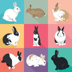 Easter Bunny vector illustration  Rabbits set colorful retro style