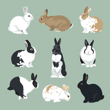 Easter Bunny vector illustration  Rabbits set in retro color style