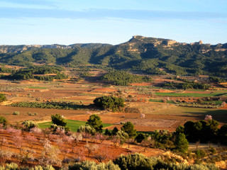 Terra Alta county landscape in spring, with the Pandols mountain range in the background (Gandesa, Catalonia, Spain). It was the scenario of the Ebro battle (Spanish Civil war)