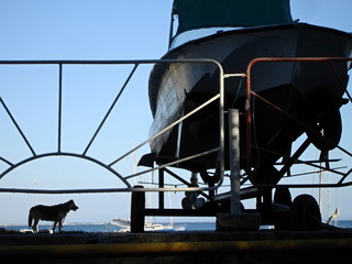 dog fence and a boat near