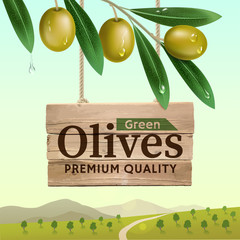 Label of green olives. Realistic olive branch. Wooden banner. Design elements for packaging. Vector illustration