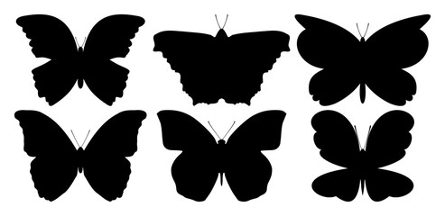 Schmetterling Silhouetten