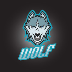 Modern professional wolf  logo for a club or sport team