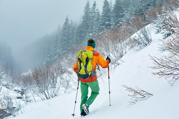 hiker in the mountains