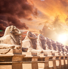 Avenue of the ram-headed Sphinxes. Karnak Temple. Luxor, Egypt