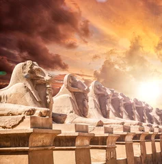 Fotobehang Avenue of the ram-headed Sphinxes. Karnak Temple. Luxor, Egypt © merydolla