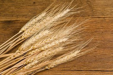 Barley grain on wooden table
