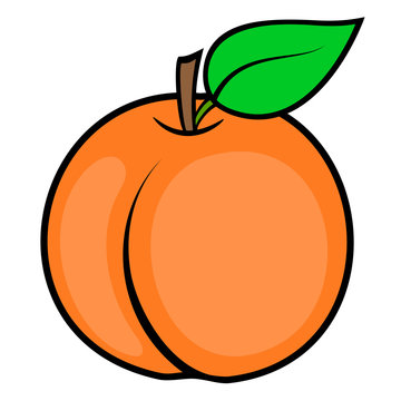 Cartoon peach isolated on white background. Stock Vector | Adobe Stock
