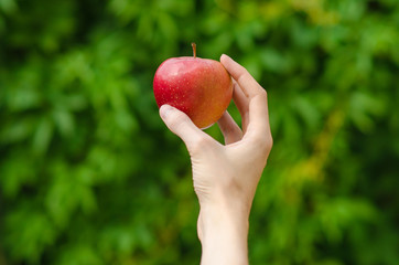 Vegetarians and fresh fruit and vegetables on the nature of the theme: human hand holding a red apple on a background of green grass