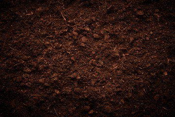 Plakat Soil background